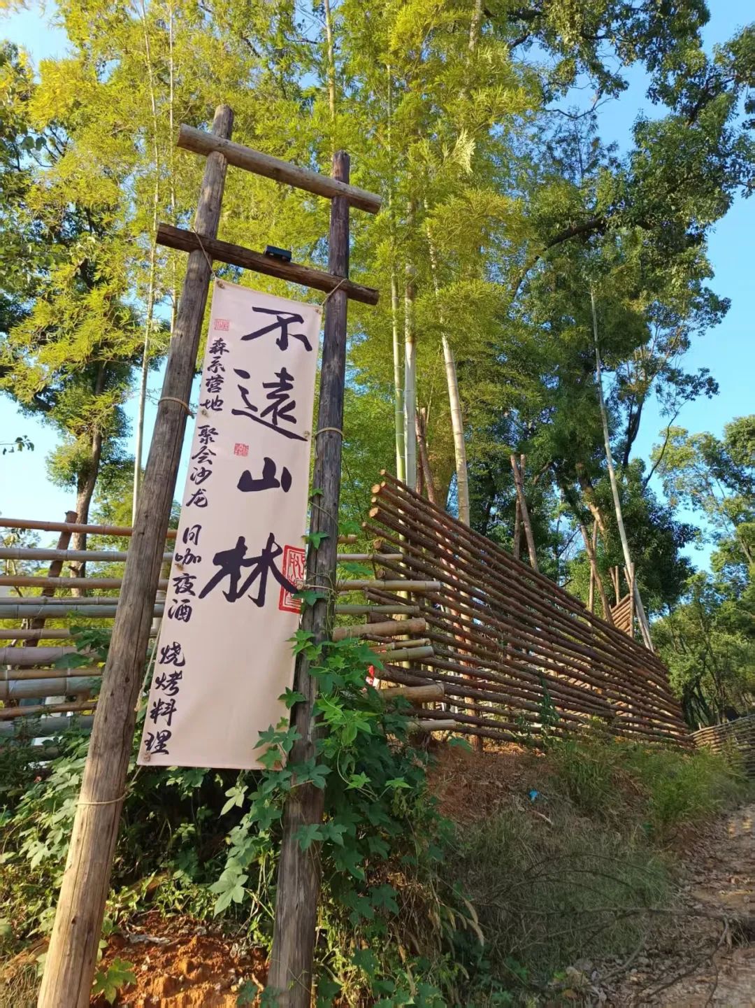 DƬ
